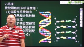 【一點通】高一生物細說(洪)